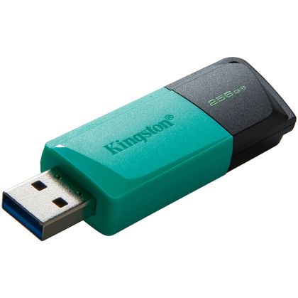 Kingston 256GB USB3.2 Gen1 DataTraveler Exodia M (Black + Teal)