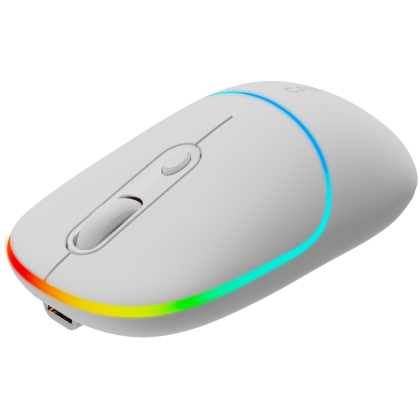 CANYON mouse MW-22 2in1 BT/ Wireless Snow White