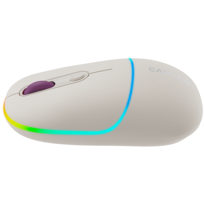 CANYON mouse MW-22 2in1 BT/ Wireless Rice