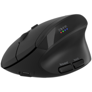 CANYON mouse MW-25 Ergonomic LED AA Dual mode Wireless Black