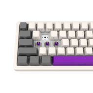 LORGAR KBP70MW, Wireless 65% Mechanical Gaming Keyboard Pro, Beige, EN layout